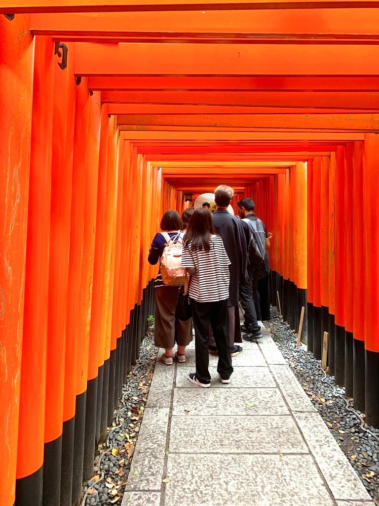 ＜日本＞2023關西~伏見稻荷大社、稻荷茶寮、東丸神社