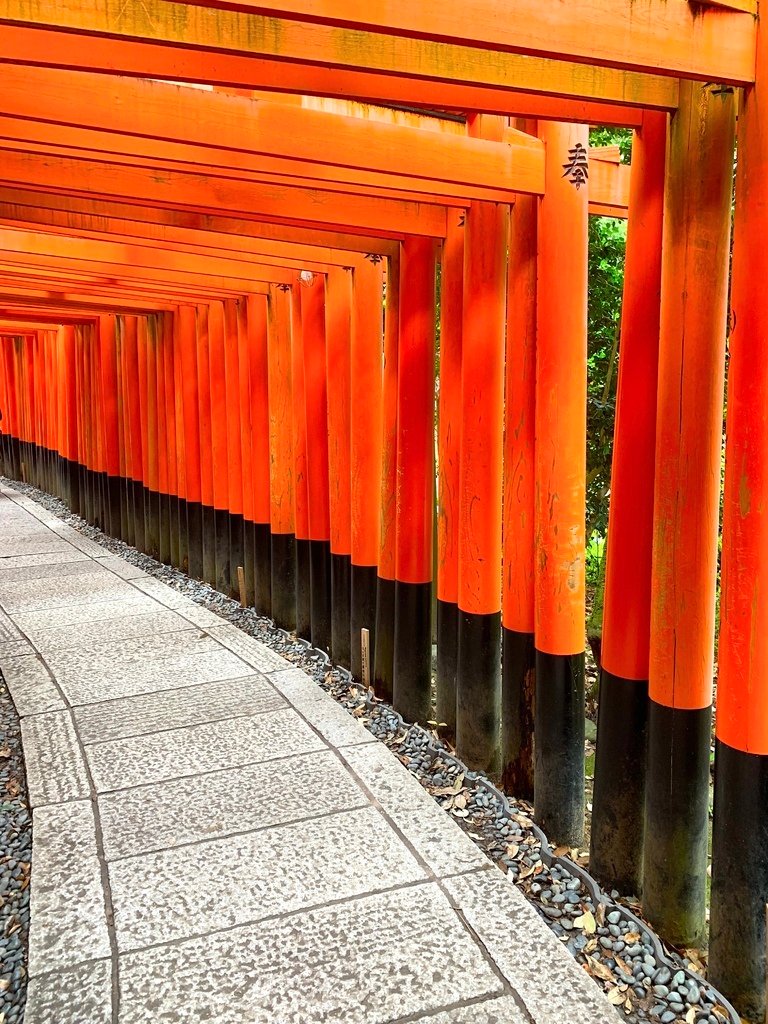 ＜日本＞2023關西~伏見稻荷大社、稻荷茶寮、東丸神社