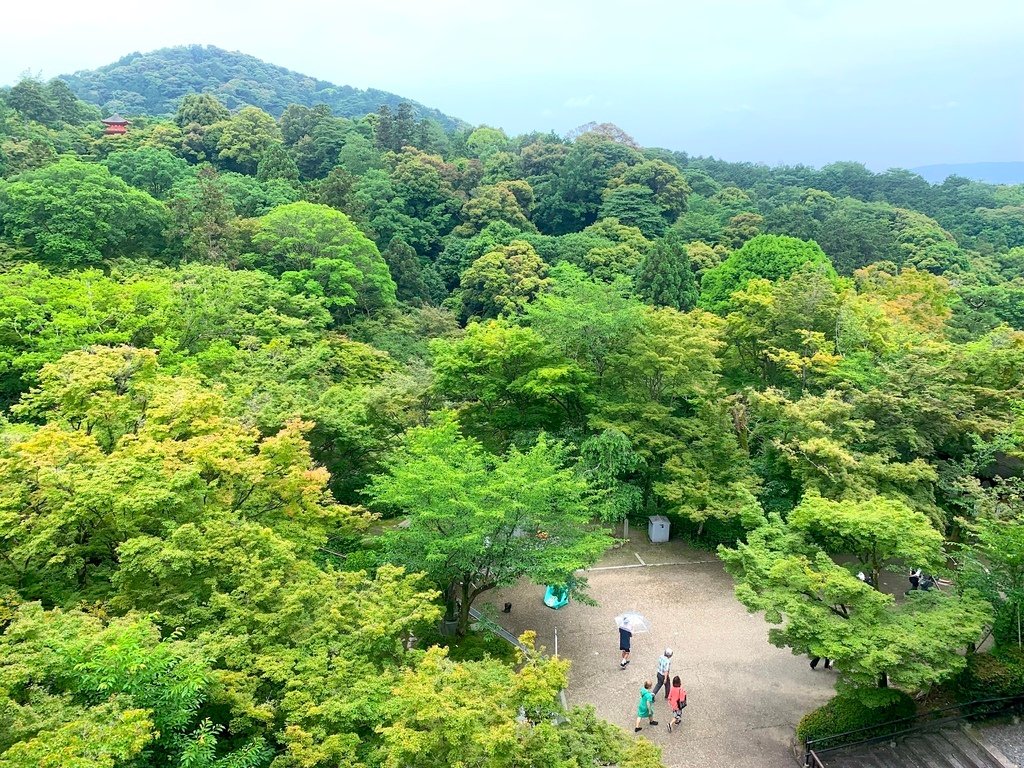 ＜日本＞2023關西~京都清水寺、慵懶的榻榻米星巴克