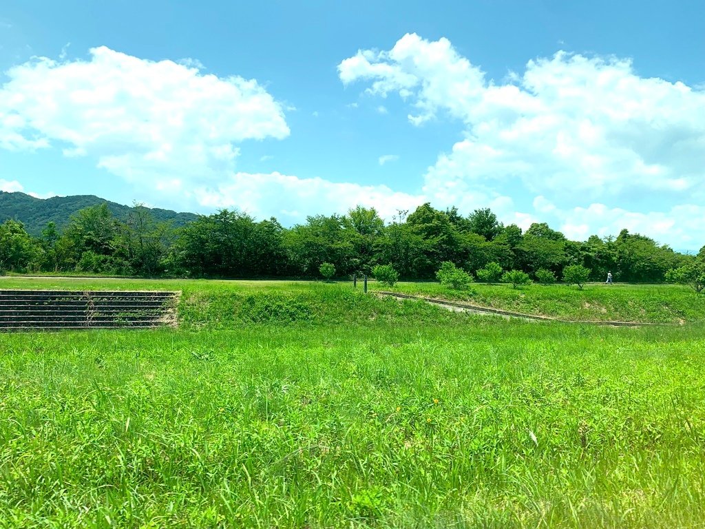 ＜日本＞2023關西~初雪食堂、八幡宮展望台、日弁禮八幡宮、