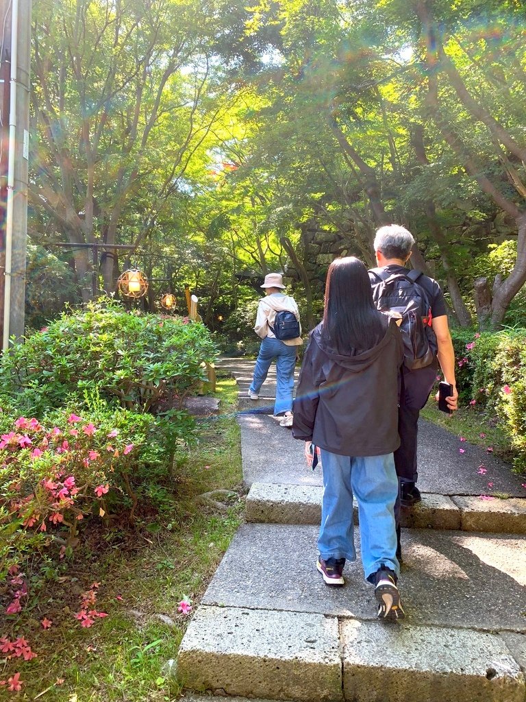 ＜日本＞2023關西~初雪食堂、八幡宮展望台、日弁禮八幡宮、