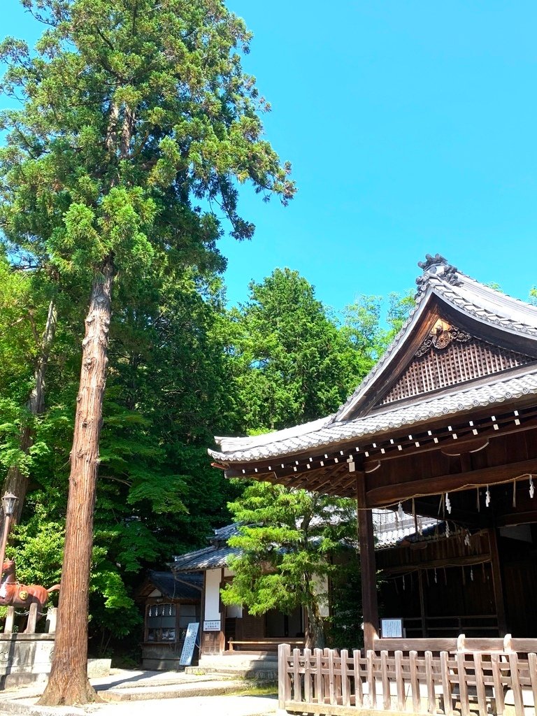 ＜日本＞2023關西~初雪食堂、八幡宮展望台、日弁禮八幡宮、