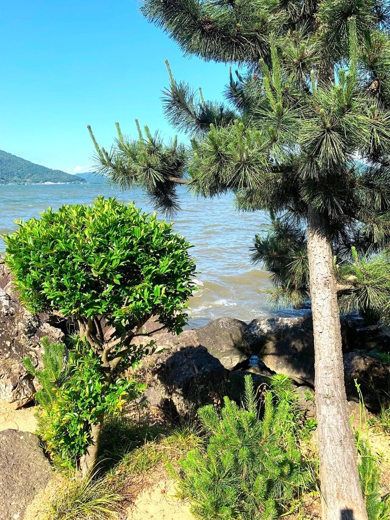 ＜日本＞2023關西~初雪食堂、八幡宮展望台、日弁禮八幡宮、