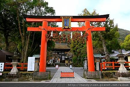 松尾大社鳥居