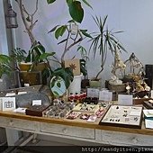 MUSEUM OF KYOTO