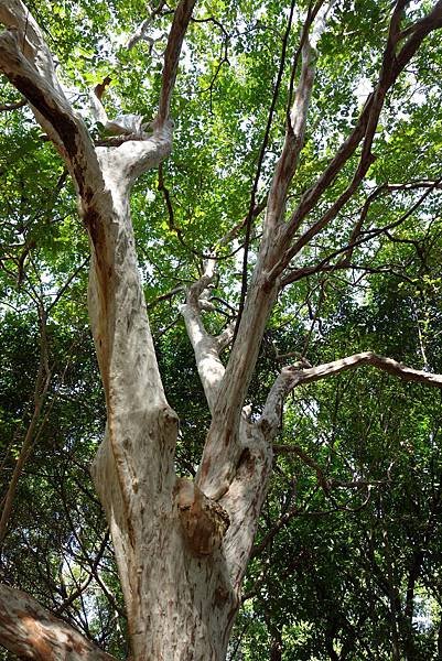 20141014 (184).JPG