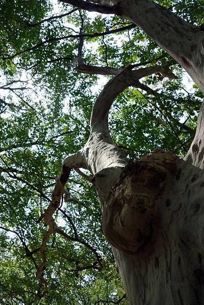 20141014 (189).JPG