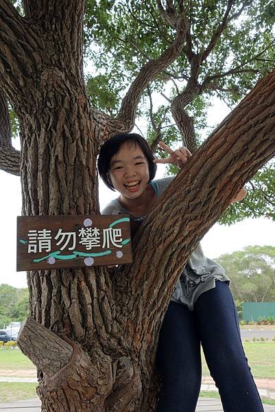 20141025 (100).JPG