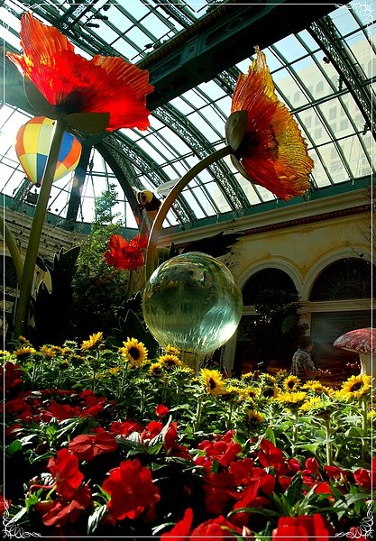 Bellagio Conservatory &amp; Botanical Gardens_3