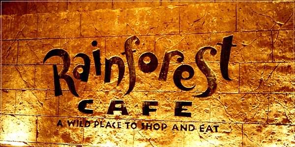 MGM_Rainforest Cafe_1