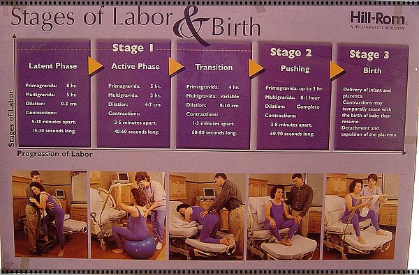 Stages of Labor &amp; Birth