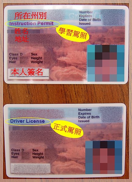 Driver License &amp; Instruction Permit