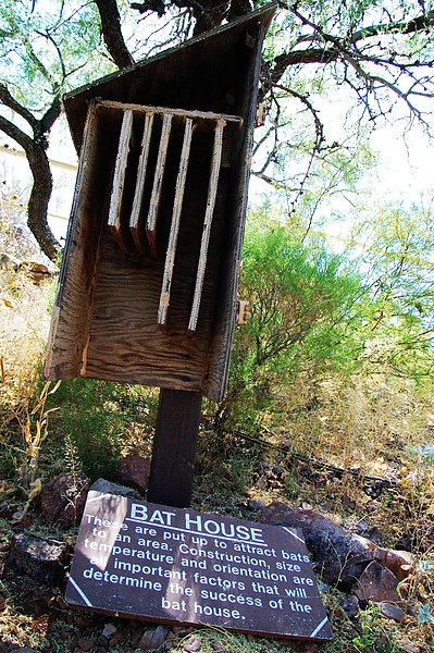 Bat House