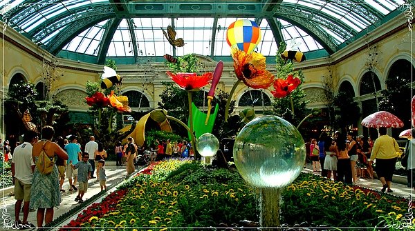 Bellagio Conservatory &amp; Botanical Gardens_1