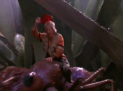 tumblr_m72yquaek01ro8ysbo1_500.gif