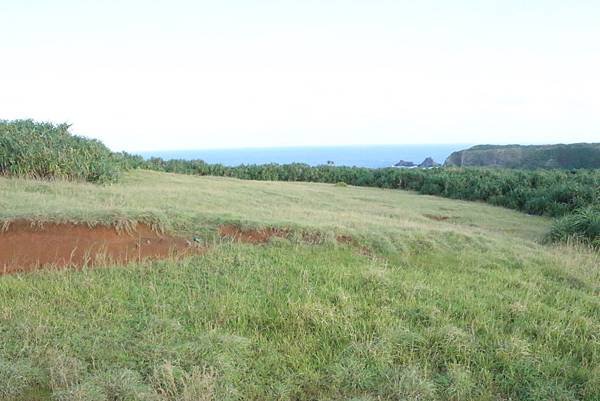 IMG_8786.JPG