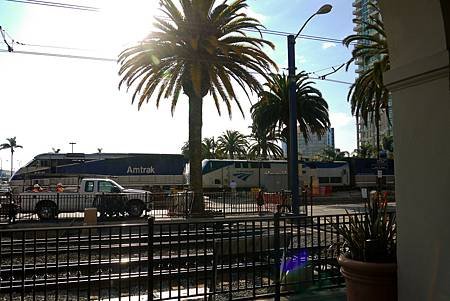 P1070098-1.jpg