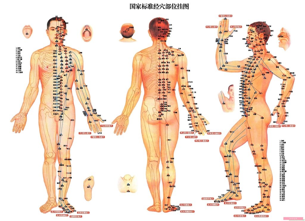 身體穴位圖 - 台南按摩（腳底按摩）推薦、台中按摩推薦、新竹按摩推薦、嘉義按摩推薦