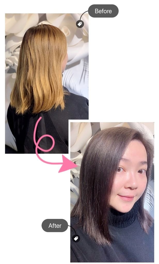 相片 2-2-2019 12 13 04