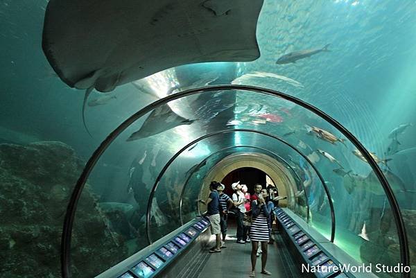 澎湖水族館