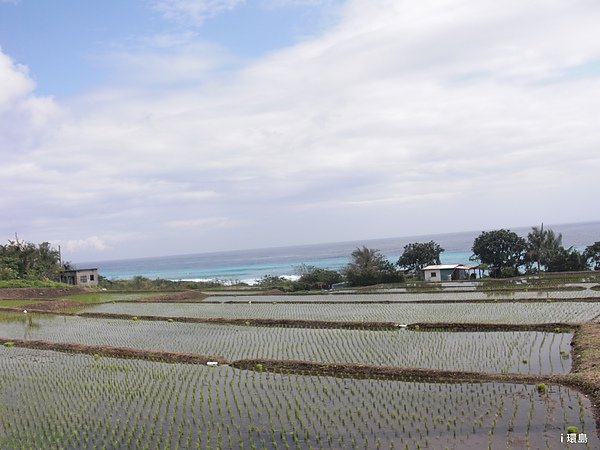 CIMG8304.JPG