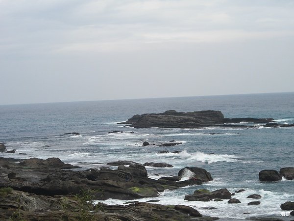 CIMG8324.JPG
