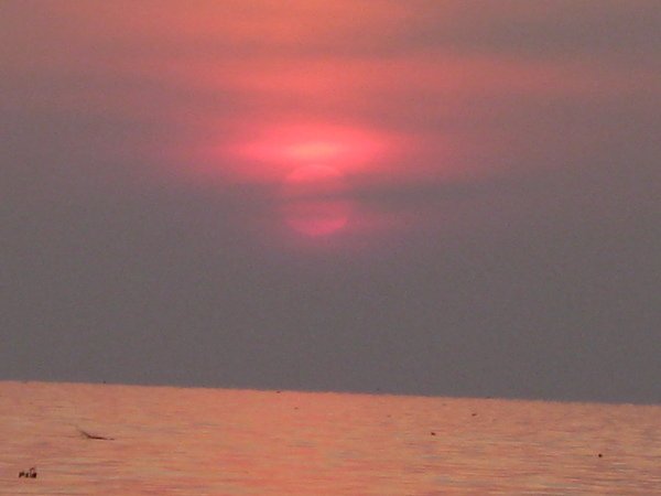 IMG_1301.jpg