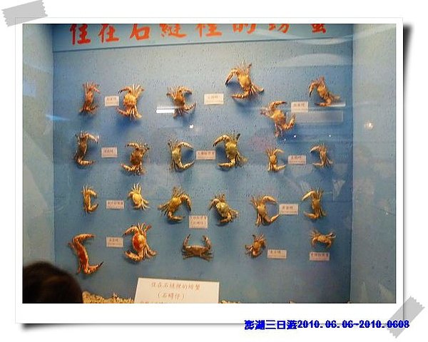 P1040338_nEO_IMG.jpg
