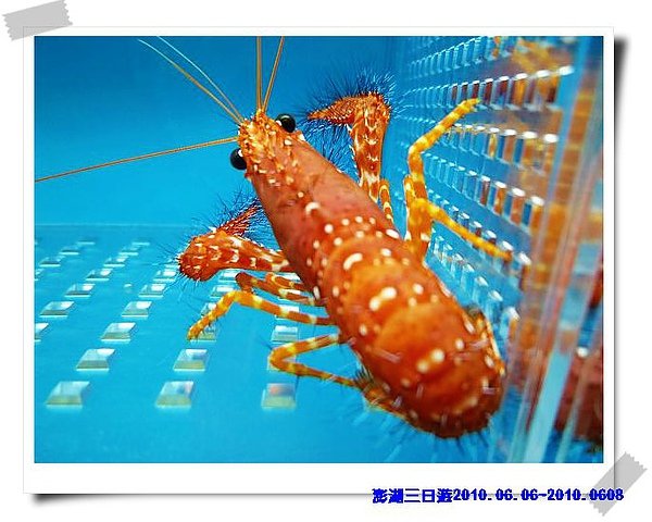 P1040354_nEO_IMG.jpg