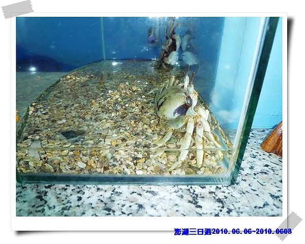 P1040337_nEO_IMG.jpg