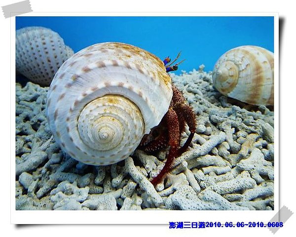P1040350_nEO_IMG.jpg