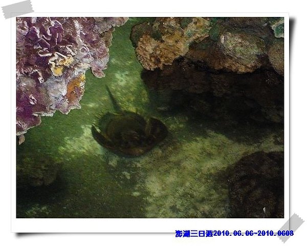 P1040378_nEO_IMG.jpg
