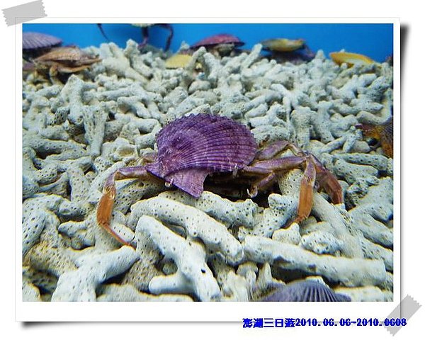 P1040355_nEO_IMG.jpg