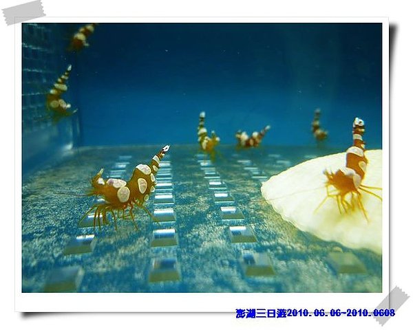 P1040348_nEO_IMG.jpg