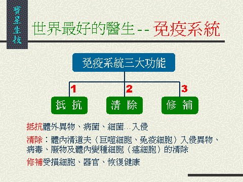 寶星市場行銷計畫