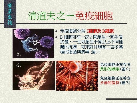 寶星市場行銷計畫