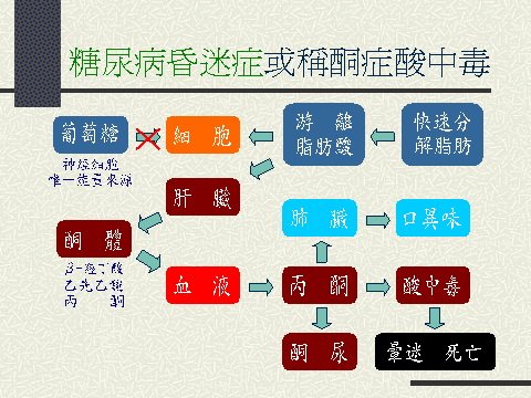寶星市場行銷計畫