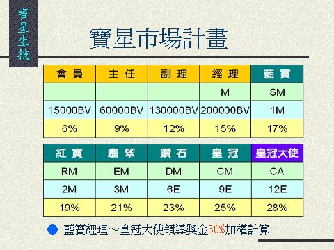 寶星市場行銷計畫