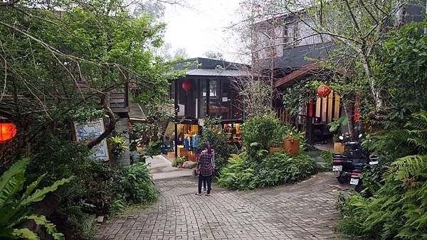 P3110105.JPG