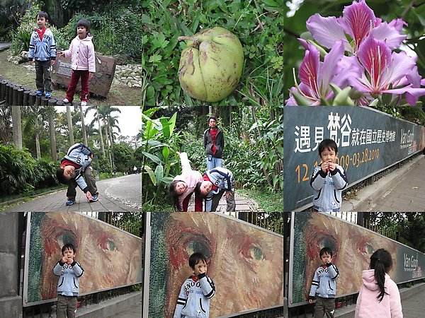 梵谷展植物園.jpg