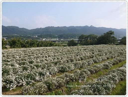 苗栗小旅行139.JPG