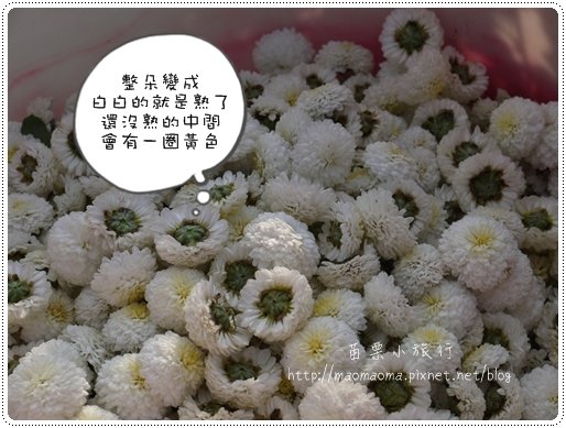 苗栗小旅行142.JPG