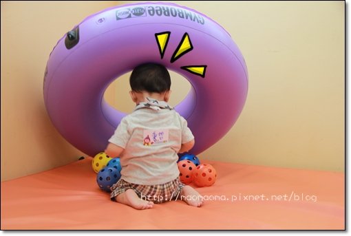 1Y1M 健寶園12