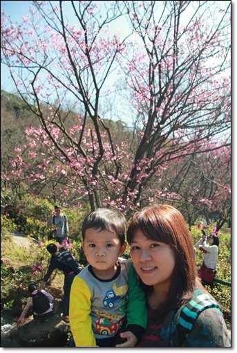 陽明山04.JPG