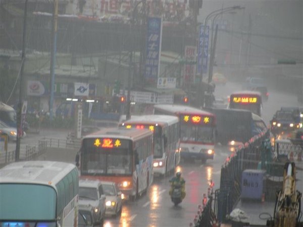 內湖線免費接駁公車群