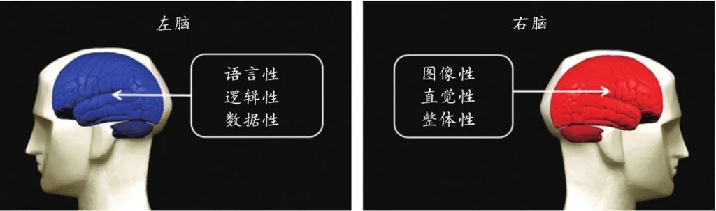 15 图像在引发情绪方面更具优势.jpg