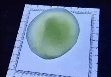 6 一眼就可以看出面皮的均勻程度.png