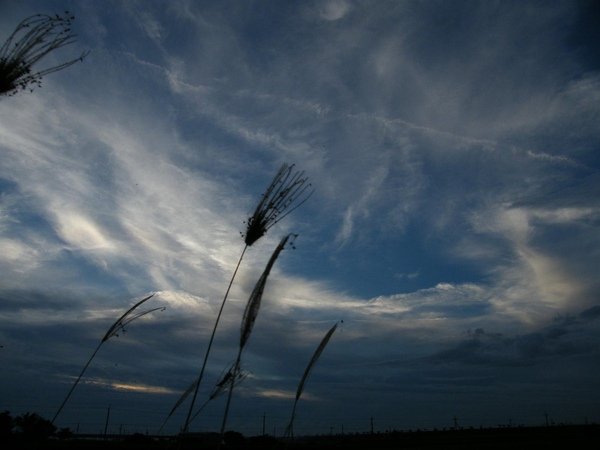 DSCF1559.JPG