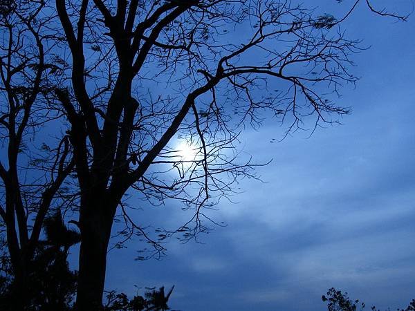 DSCF5664.JPG
