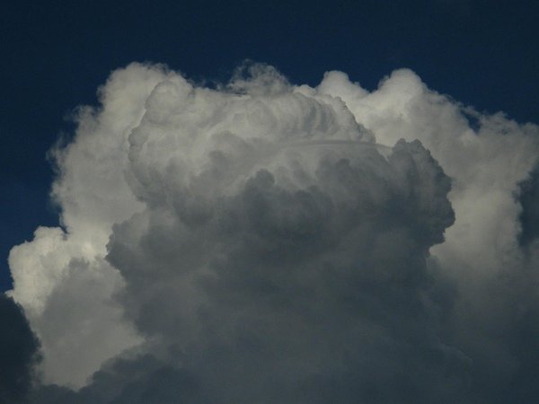 DSCF1536.JPG